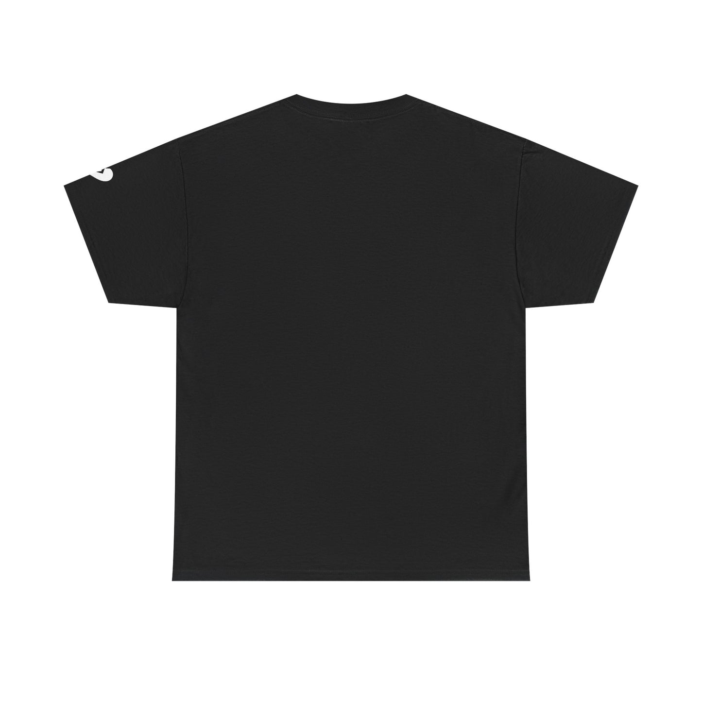 Salty. Graphic Tee — Minimalist T-Shirt (The One Word Collection)