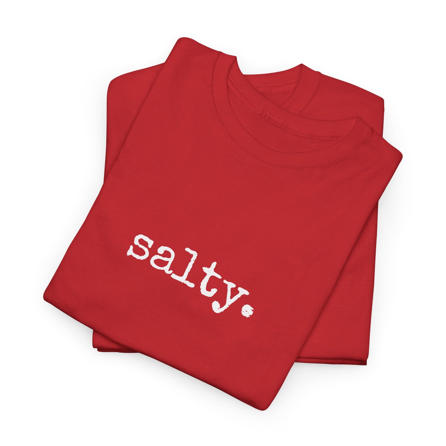 Salty. Graphic Tee — Minimalist T-Shirt (The One Word Collection)